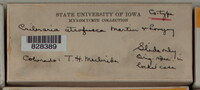 Image Associated With the Occurence